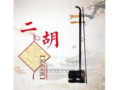 招聘自贡二胡家教老师